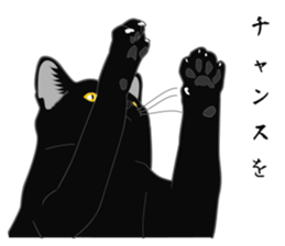 Glory of the Rial-based black cat sticker #10187613