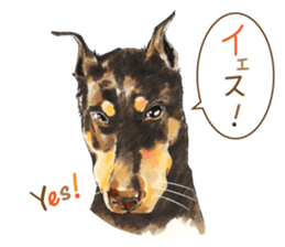 Team Dogs ALL STAR PART 1 sticker #10187736