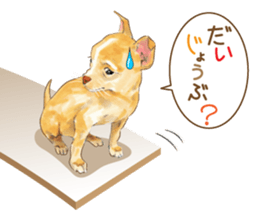 Team Dogs ALL STAR PART 1 sticker #10187740