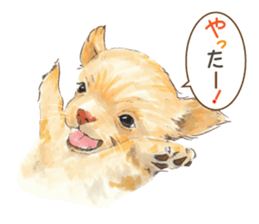 Team Dogs ALL STAR PART 1 sticker #10187744