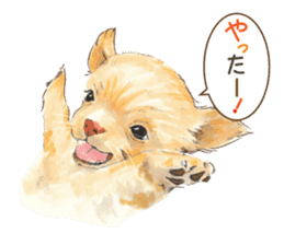 Team Dogs ALL STAR PART 1 sticker #10187744