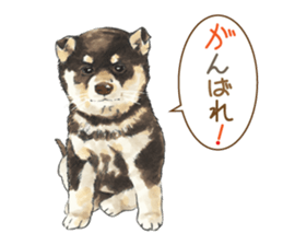 Team Dogs ALL STAR PART 1 sticker #10187750