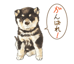 Team Dogs ALL STAR PART 1 sticker #10187750