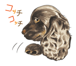 Team Dogs ALL STAR PART 1 sticker #10187751