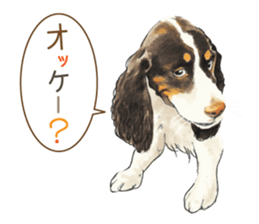 Team Dogs ALL STAR PART 1 sticker #10187754