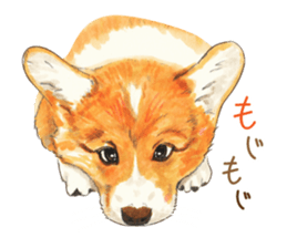 Team Dogs ALL STAR PART 1 sticker #10187757