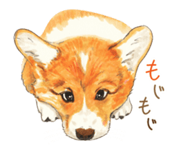 Team Dogs ALL STAR PART 1 sticker #10187757