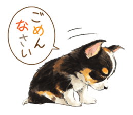 Team Dogs ALL STAR PART 1 sticker #10187758