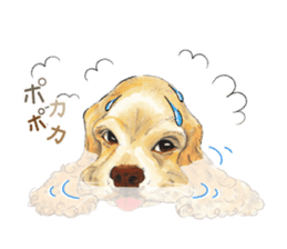 Team Dogs ALL STAR PART 1 sticker #10187760