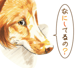 Team Dogs ALL STAR PART 1 sticker #10187763