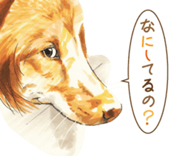 Team Dogs ALL STAR PART 1 sticker #10187763