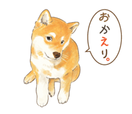 Team Dogs ALL STAR PART 1 sticker #10187765