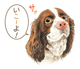 Team Dogs ALL STAR PART 1 sticker #10187767