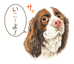 Team Dogs ALL STAR PART 1 sticker #10187767