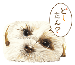 Team Dogs ALL STAR PART 1 sticker #10187769