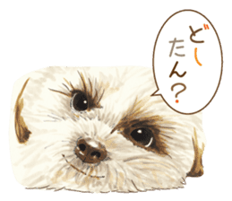 Team Dogs ALL STAR PART 1 sticker #10187769