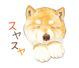 Team Dogs ALL STAR PART 1 sticker #10187773