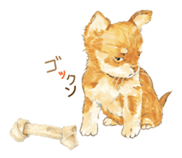 Team Dogs ALL STAR PART 1 sticker #10187775