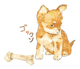 Team Dogs ALL STAR PART 1 sticker #10187775