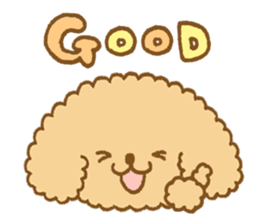 Poodle of cocoa 2 sticker #10187777