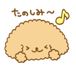 Poodle of cocoa 2 sticker #10187779