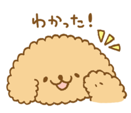 Poodle of cocoa 2 sticker #10187781