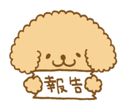 Poodle of cocoa 2 sticker #10187783