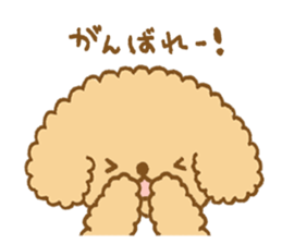 Poodle of cocoa 2 sticker #10187785