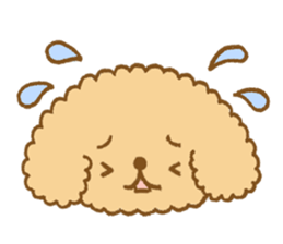 Poodle of cocoa 2 sticker #10187793