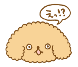 Poodle of cocoa 2 sticker #10187798