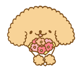 Poodle of cocoa 2 sticker #10187810