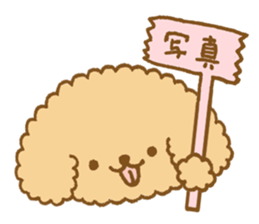 Poodle of cocoa 2 sticker #10187812