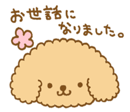 Poodle of cocoa 2 sticker #10187814