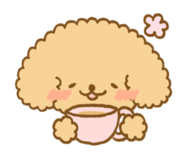 Poodle of cocoa 2 sticker #10187815