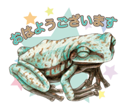 Frog-mates Stickers 2 sticker #10189216