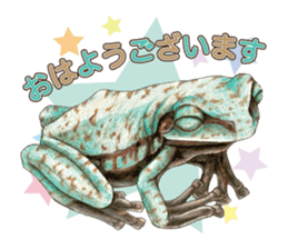 Frog-mates Stickers 2 sticker #10189216