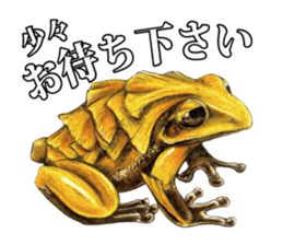 Frog-mates Stickers 2 sticker #10189222