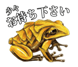 Frog-mates Stickers 2 sticker #10189222