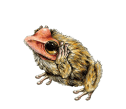 Frog-mates Stickers 2 sticker #10189232