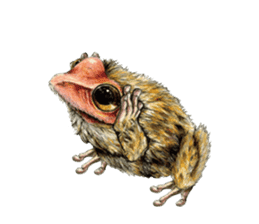 Frog-mates Stickers 2 sticker #10189232