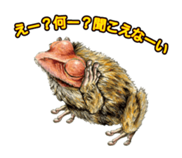 Frog-mates Stickers 2 sticker #10189233