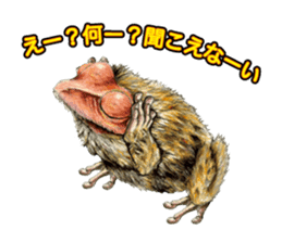 Frog-mates Stickers 2 sticker #10189233