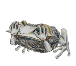 Frog-mates Stickers 2 sticker #10189234