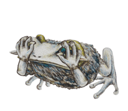 Frog-mates Stickers 2 sticker #10189234