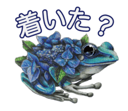 Frog-mates Stickers 2 sticker #10189246