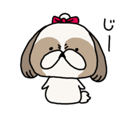 Shih Tzu 3 sticker #10189656