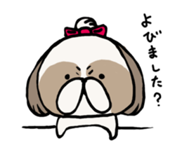 Shih Tzu 3 sticker #10189657