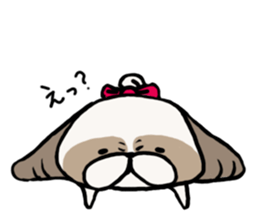 Shih Tzu 3 sticker #10189658