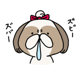 Shih Tzu 3 sticker #10189659