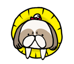 Shih Tzu 3 sticker #10189663